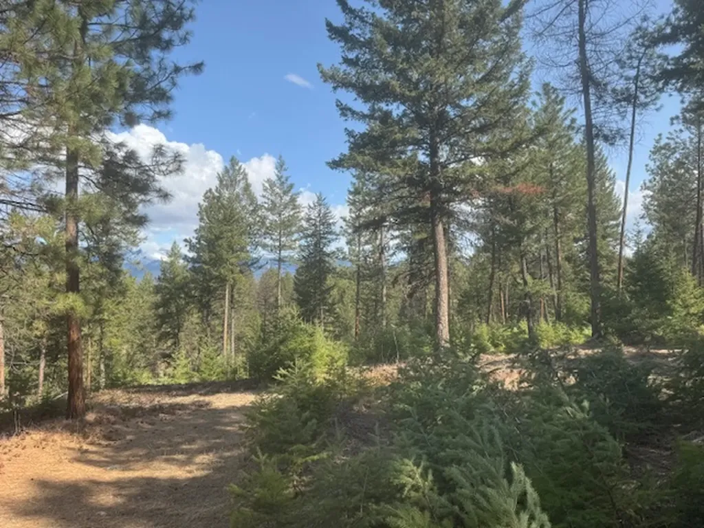 148 Tiny Acres Trail Rexford MT 59930