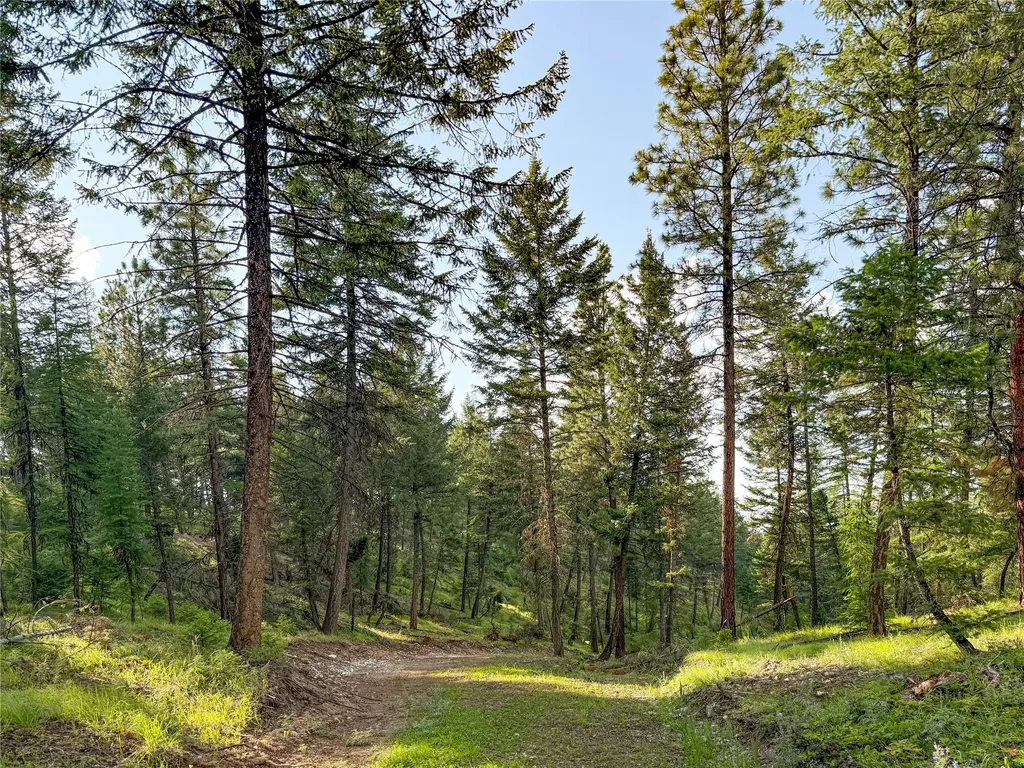 148 Tiny Acres Trail Rexford MT 59930
