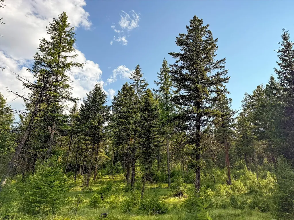 148 Tiny Acres Trail Rexford MT 59930