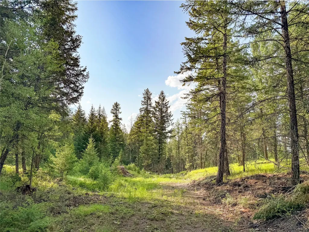 148 Tiny Acres Trail Rexford MT 59930