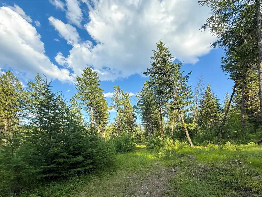148 Tiny Acres Trail Rexford MT 59930