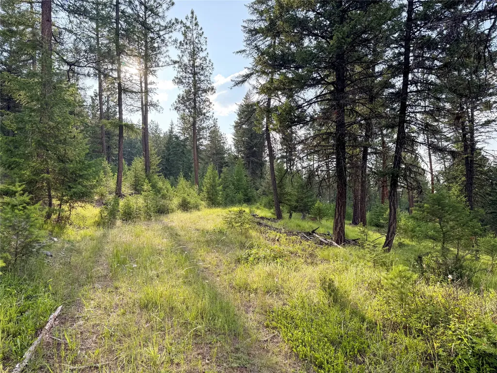 148 Tiny Acres Trail Rexford MT 59930