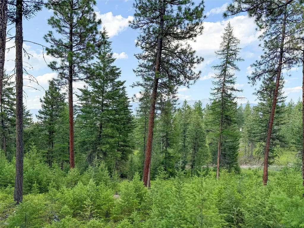 148 Tiny Acres Trail Rexford MT 59930