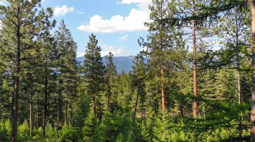 148 Tiny Acres Trail Rexford MT 59930