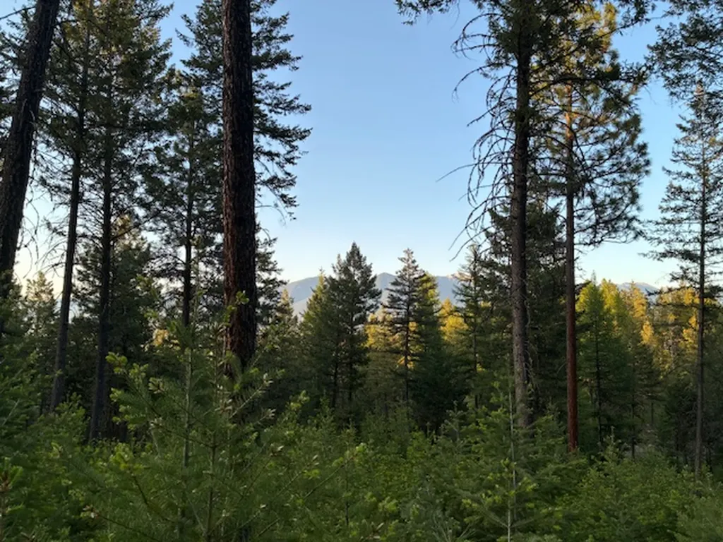 148 Tiny Acres Trail Rexford MT 59930