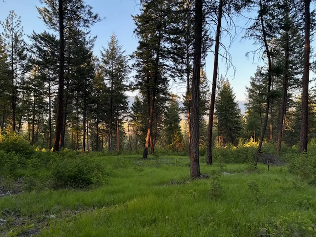 148 Tiny Acres Trail Rexford MT 59930