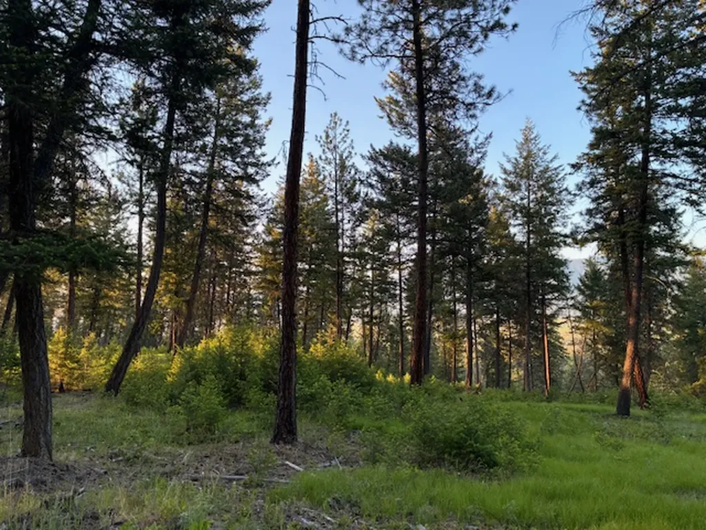 148 Tiny Acres Trail Rexford MT 59930