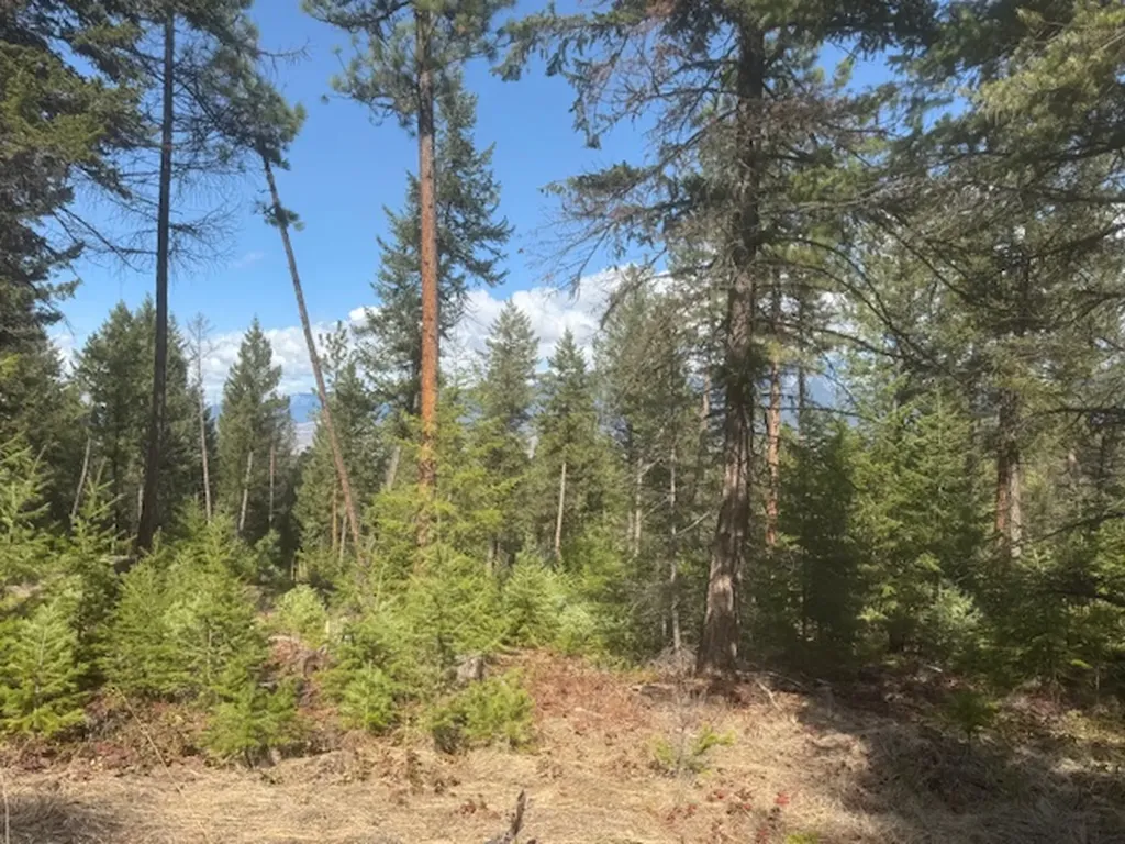148 Tiny Acres Trail Rexford MT 59930
