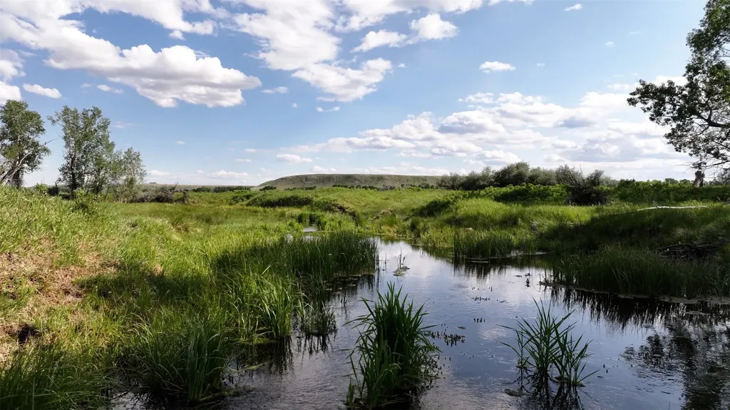 Tbd Hwy 89 N Choteau MT 59422