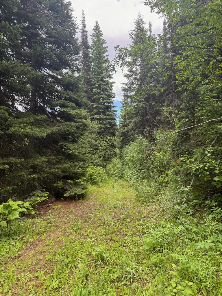 000 Fern Creek Road Frenchtown MT 59834