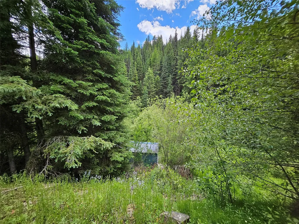 000 Fern Creek Road Frenchtown MT 59834
