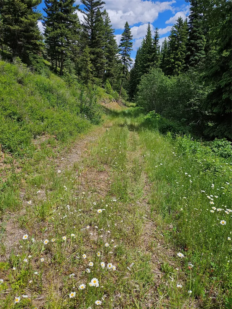 000 Fern Creek Road Frenchtown MT 59834