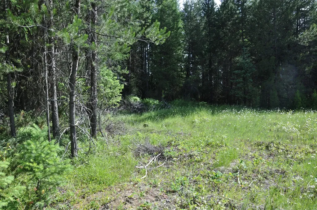 6065 - 6073 Us Highway 93 N Olney MT 59927