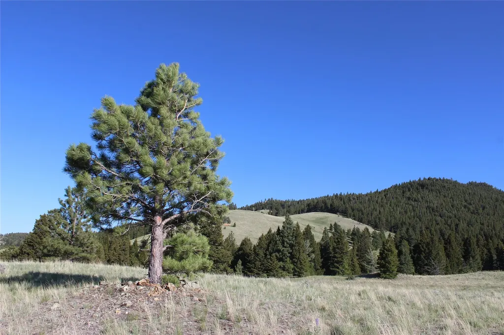 Nhn Austin Road Helena MT 59601