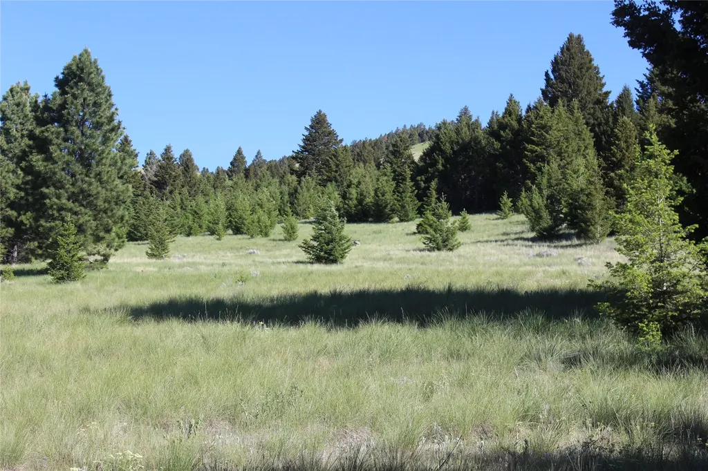 Nhn Austin Road Helena MT 59601