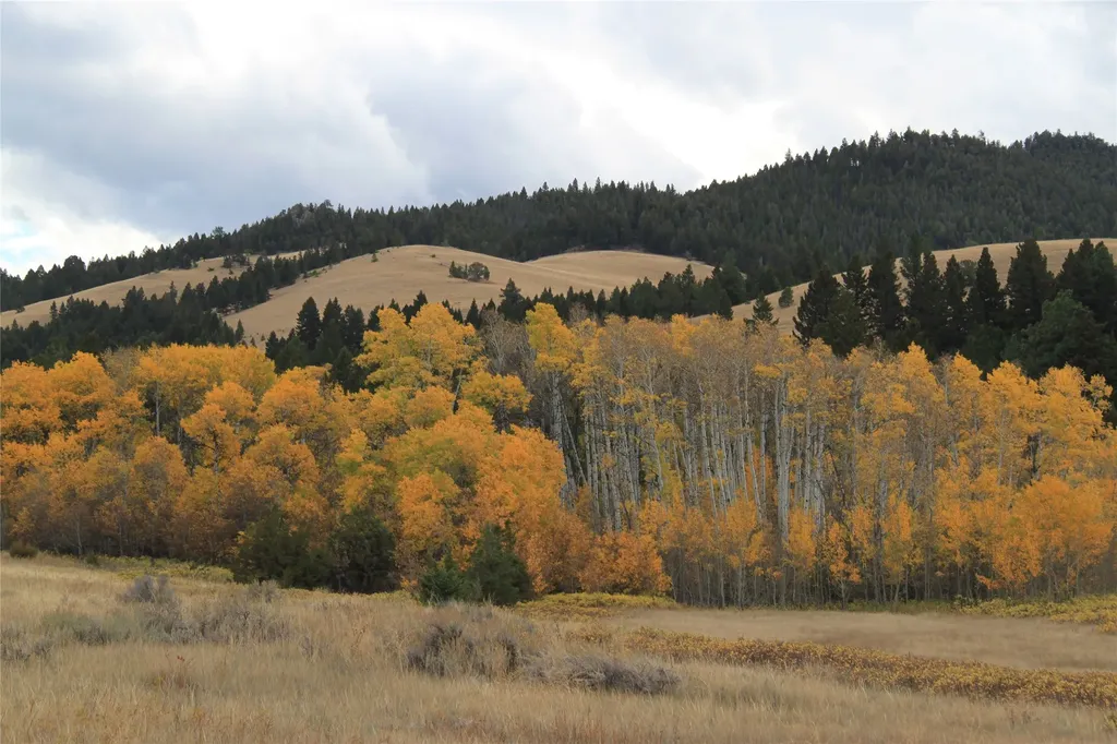 Nhn Austin Road Helena MT 59601