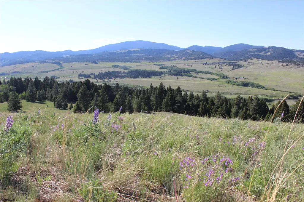 Nhn Austin Road Helena MT 59601
