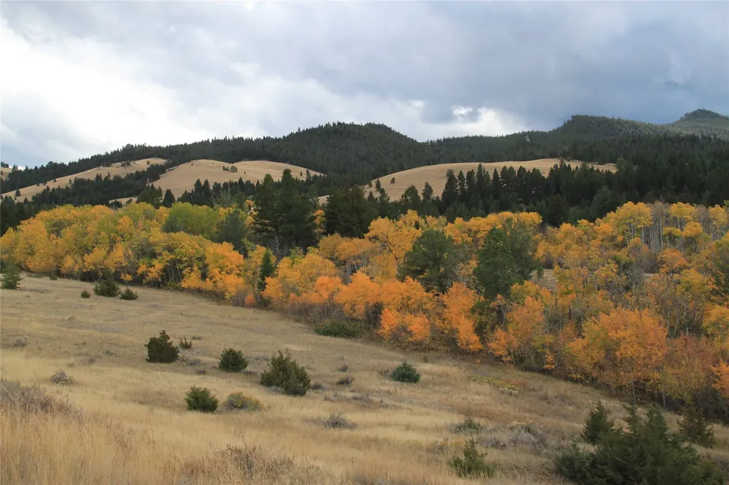 Nhn Austin Road Helena MT 59601