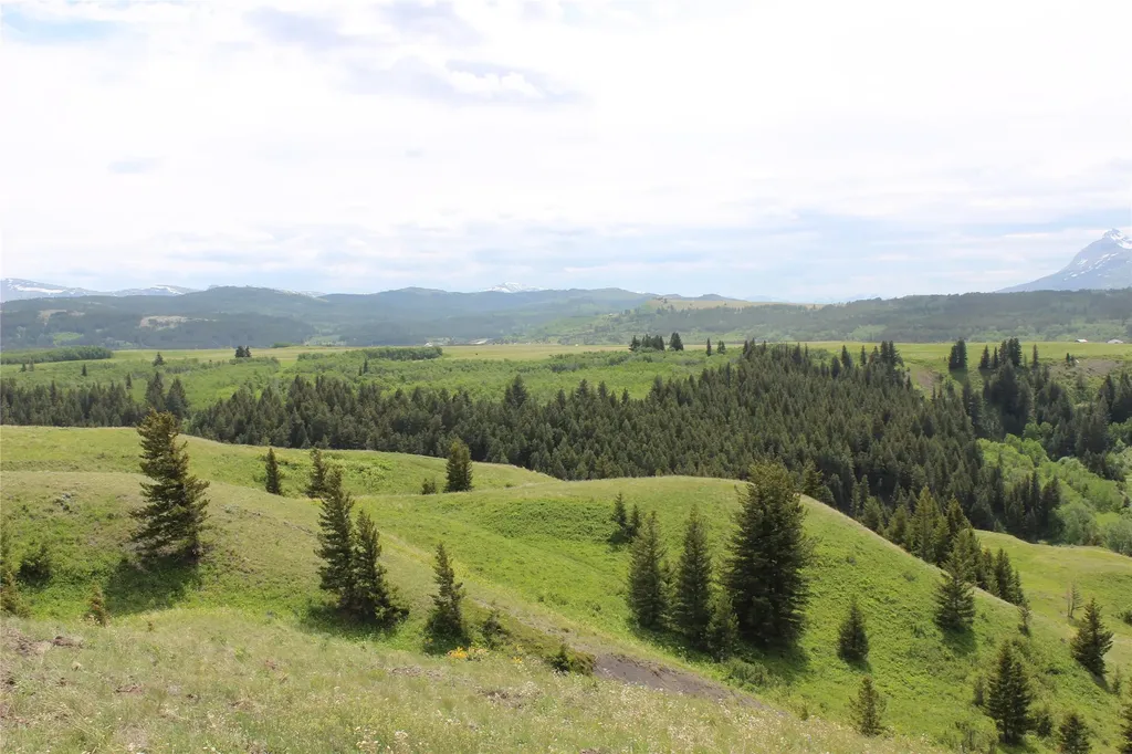 21001 Us Highway 2 East Glacier Park MT 59434