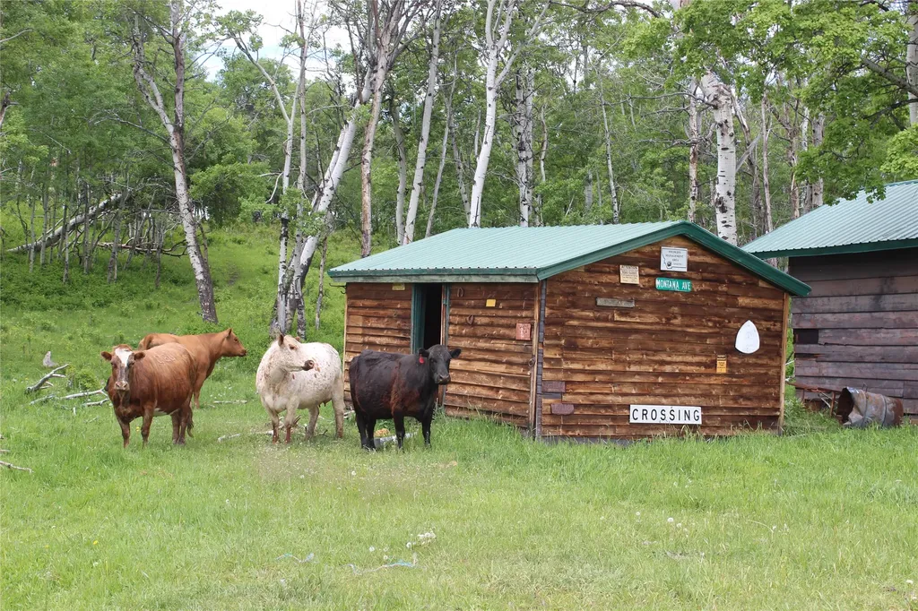 21001 Us Highway 2 East Glacier Park MT 59434