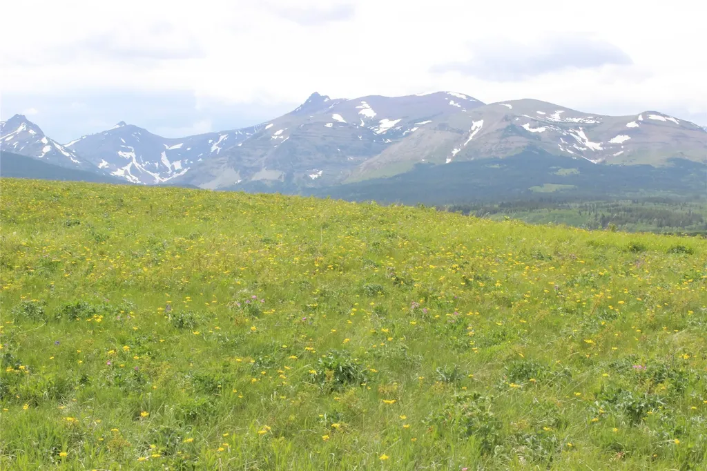 21001 Us Highway 2 East Glacier Park MT 59434
