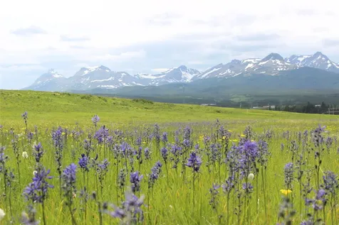 21001 Us Highway 2 East Glacier Park MT 59434