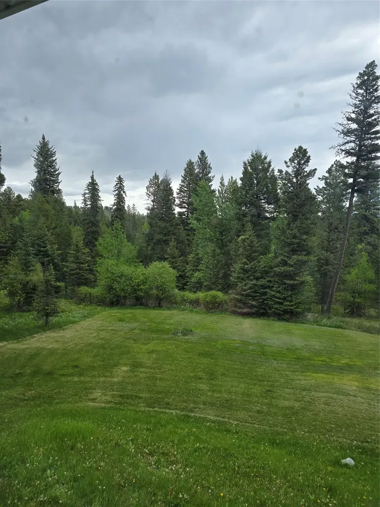 2528 Lincoln Springs Drive Lincoln MT 59639