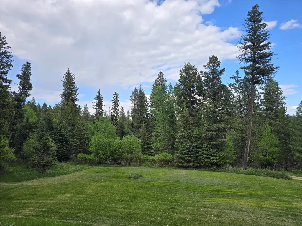 2528 Lincoln Springs Drive Lincoln MT 59639
