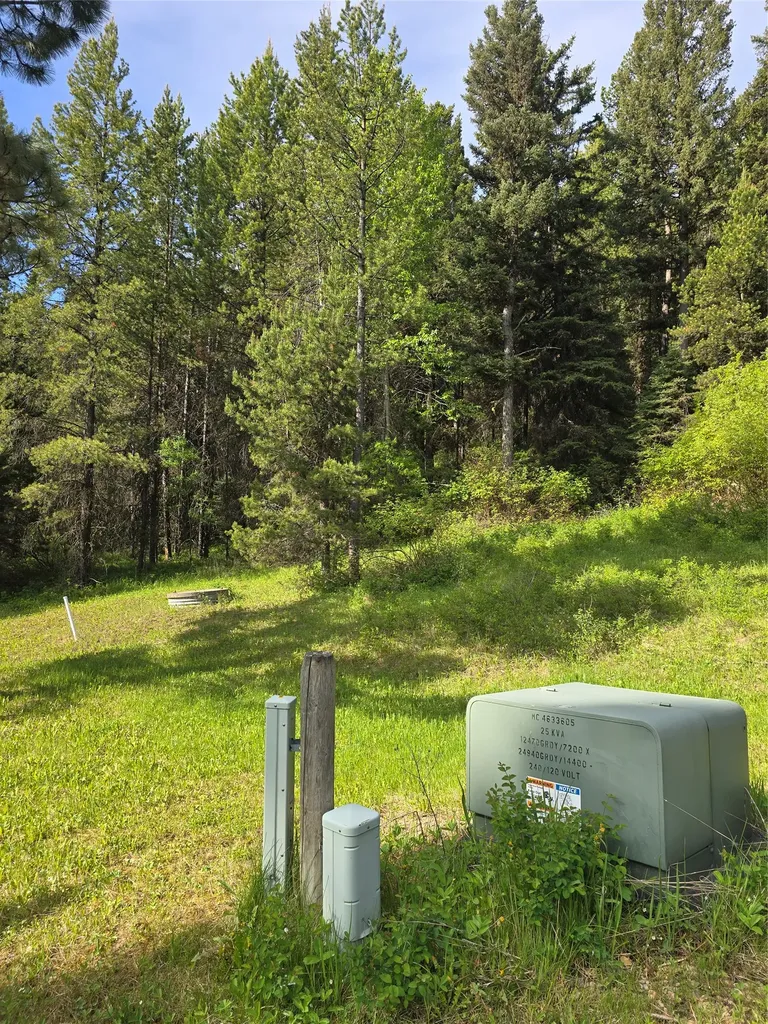 2528 Lincoln Springs Drive Lincoln MT 59639