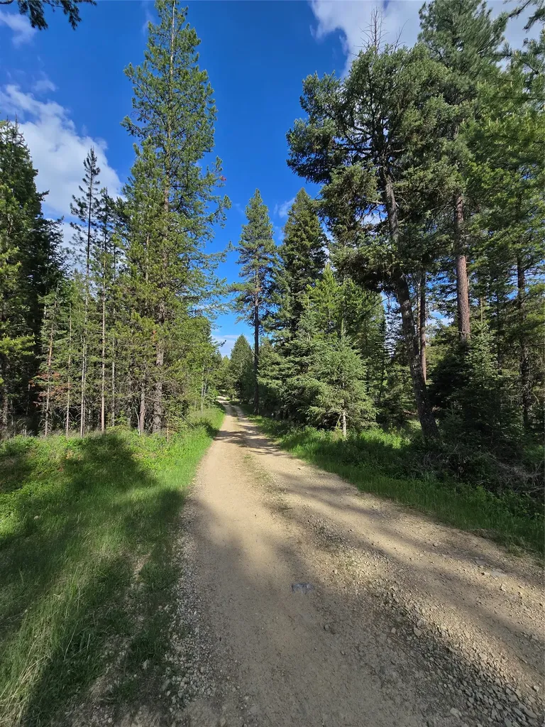 2528 Lincoln Springs Drive Lincoln MT 59639