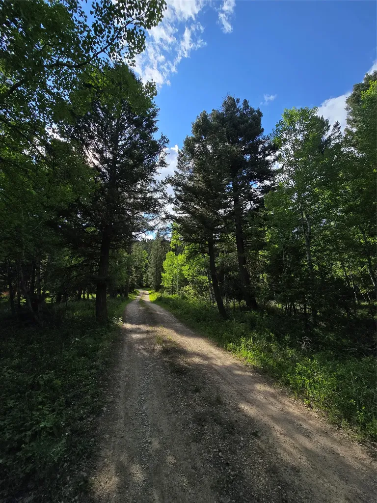 2528 Lincoln Springs Drive Lincoln MT 59639