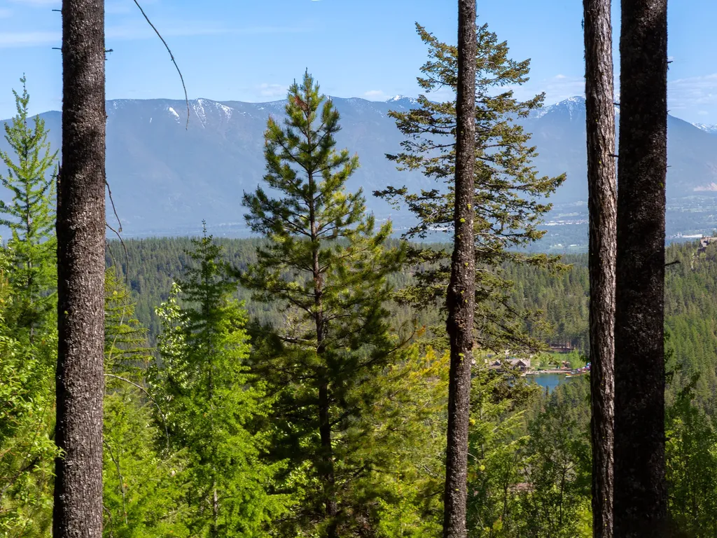 213 Ridge Run Court Whitefish MT 59937