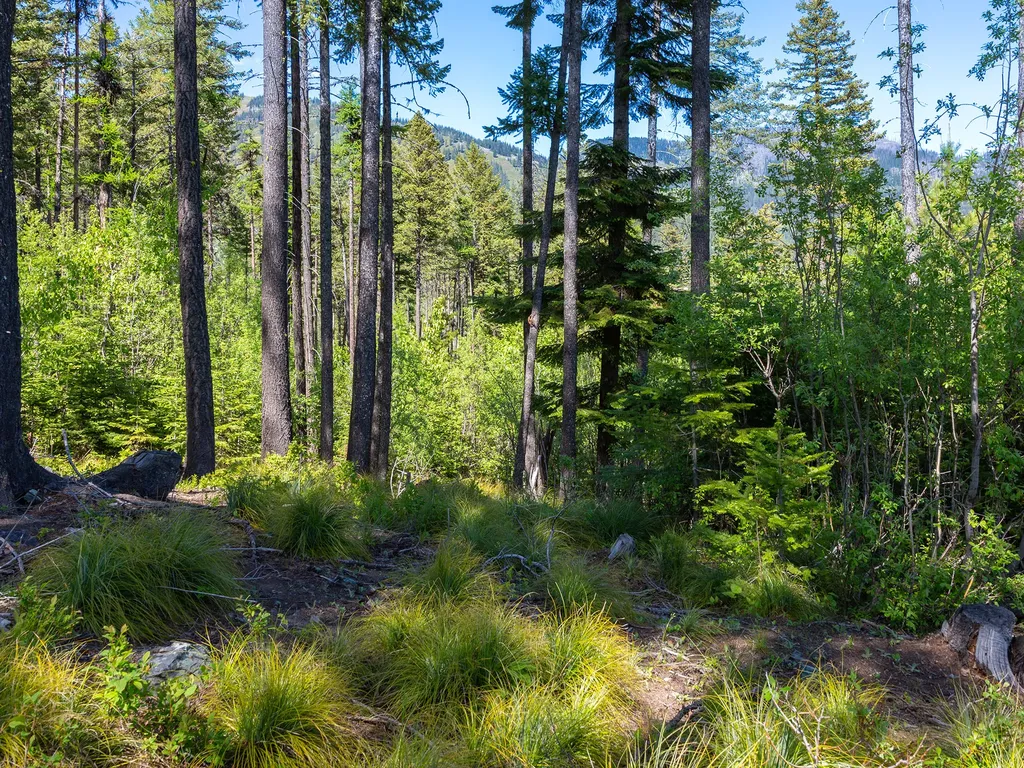 213 Ridge Run Court Whitefish MT 59937