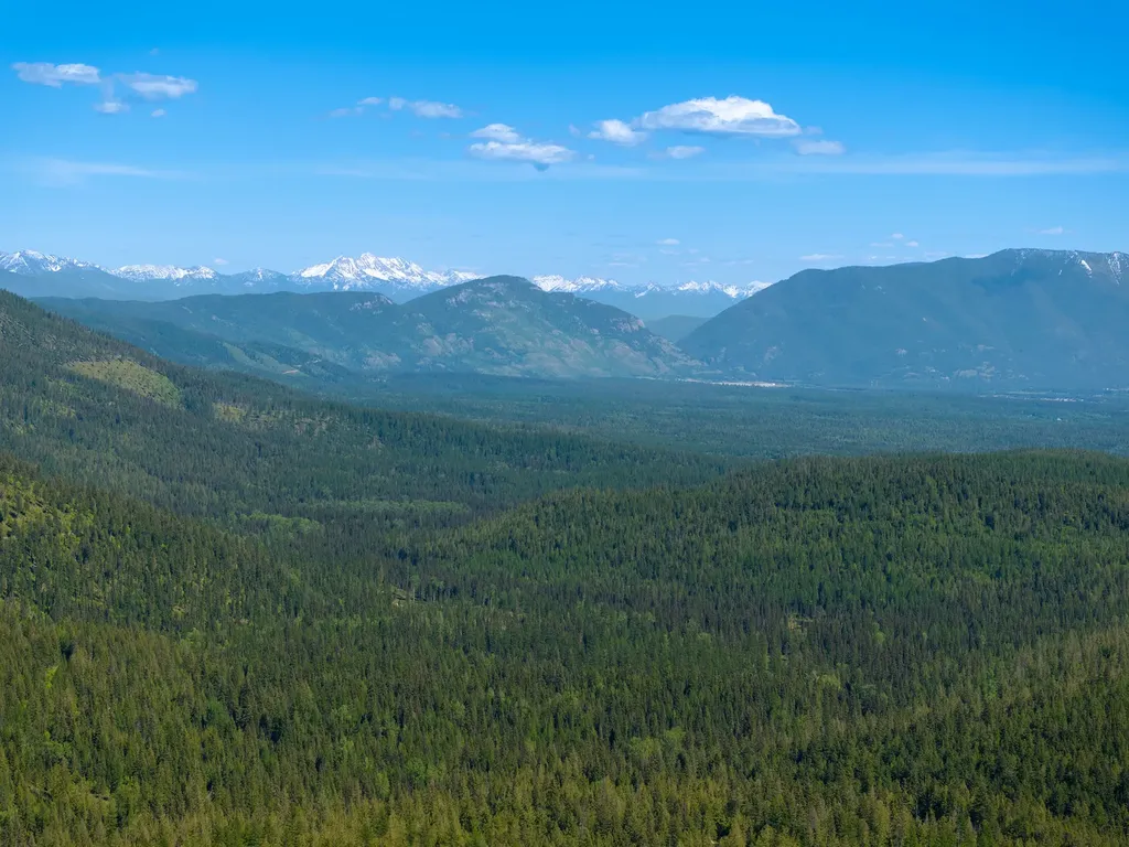 213 Ridge Run Court Whitefish MT 59937