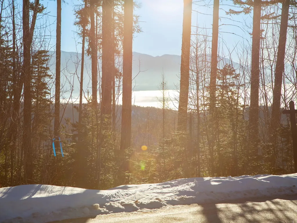 213 Ridge Run Court Whitefish MT 59937