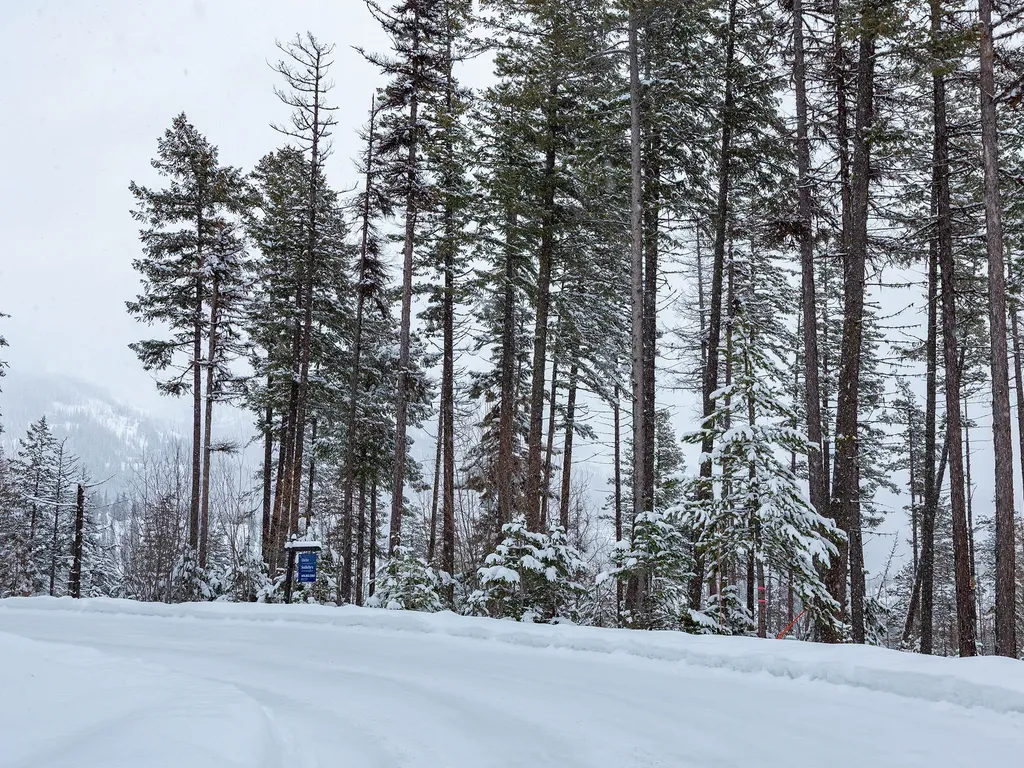 213 Ridge Run Court Whitefish MT 59937