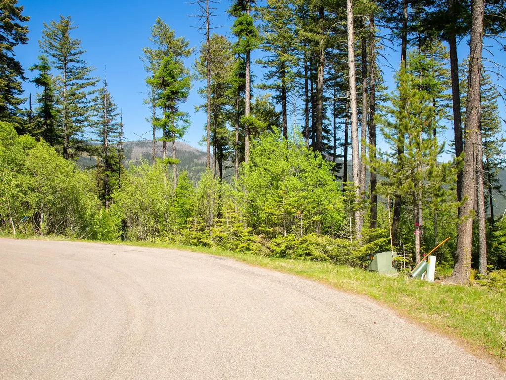 213 Ridge Run Court Whitefish MT 59937