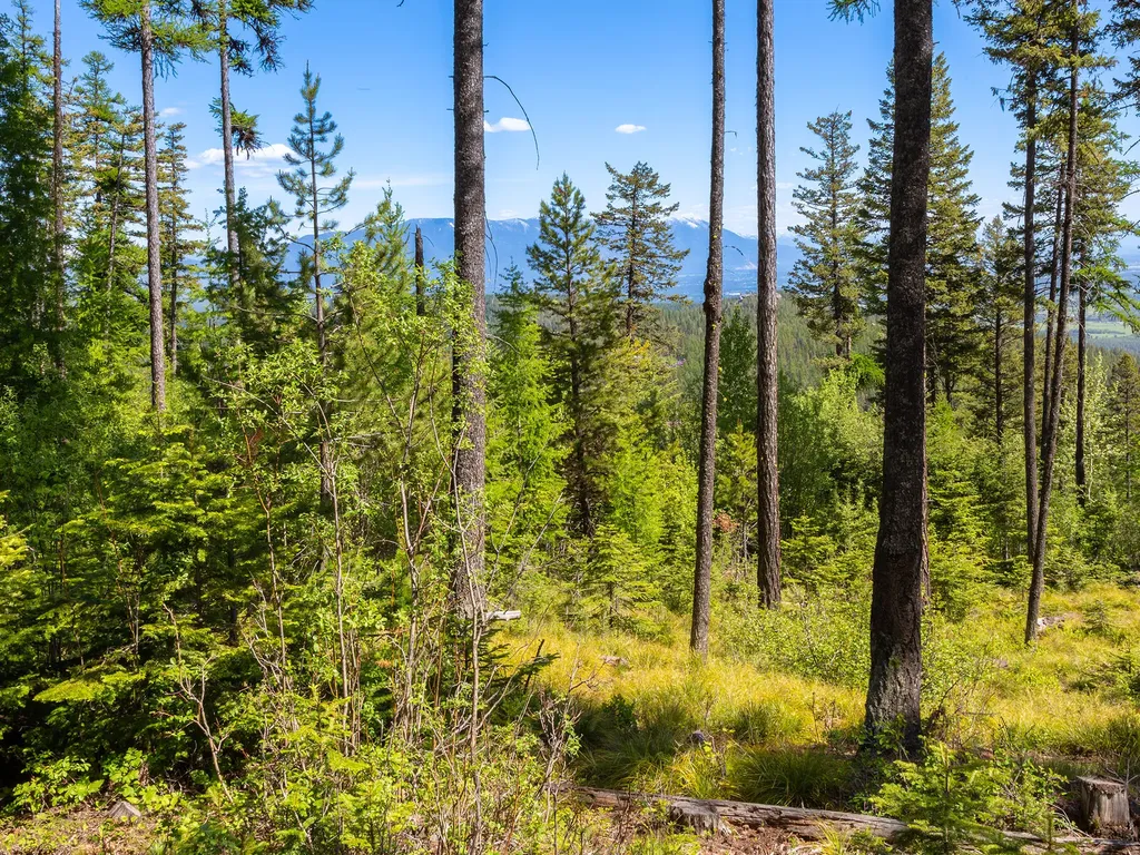 213 Ridge Run Court Whitefish MT 59937