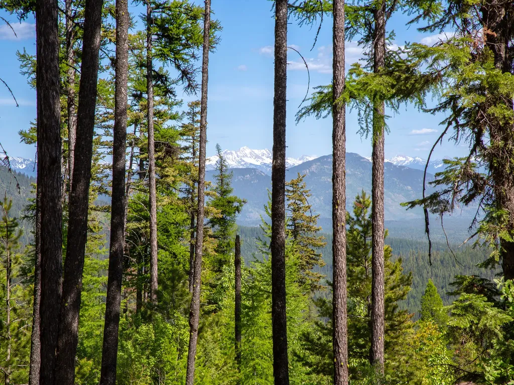 213 Ridge Run Court Whitefish MT 59937