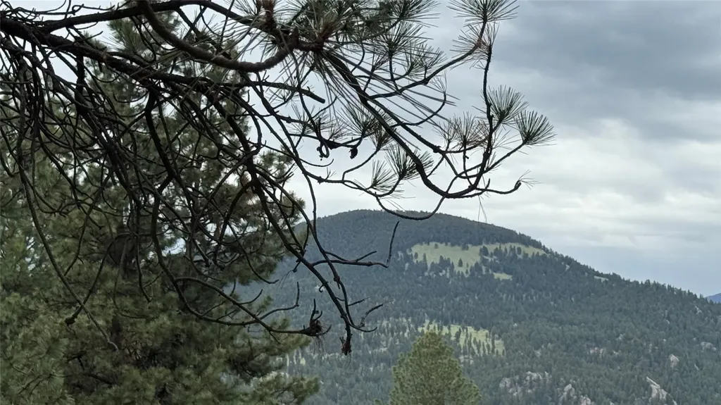 10 Pine Ridge Circle Clancy MT 59634