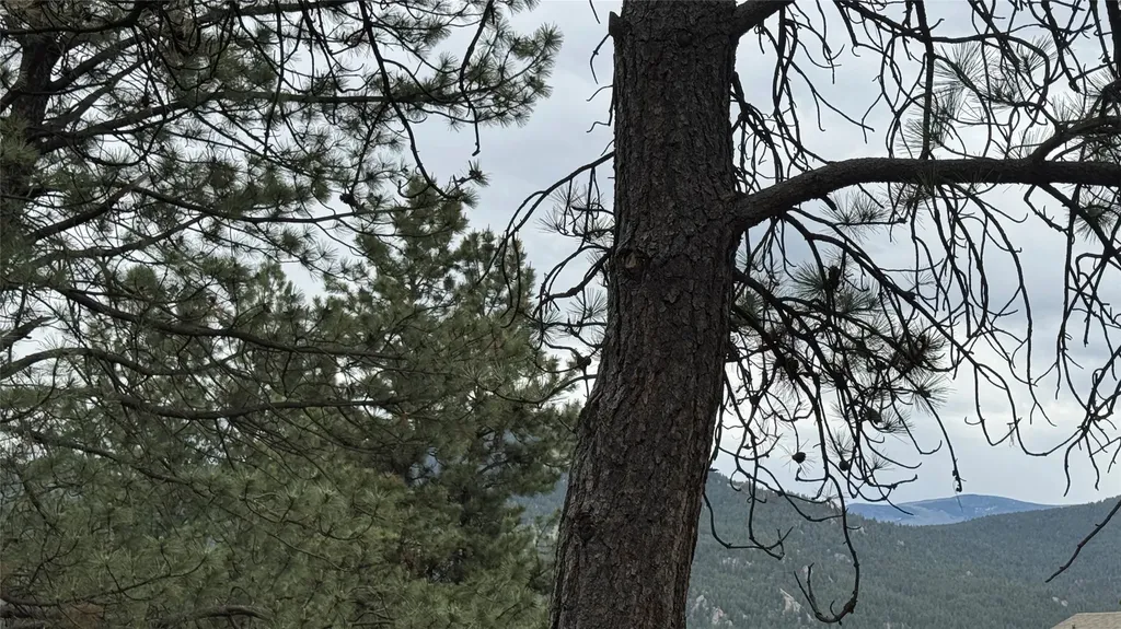 10 Pine Ridge Circle Clancy MT 59634