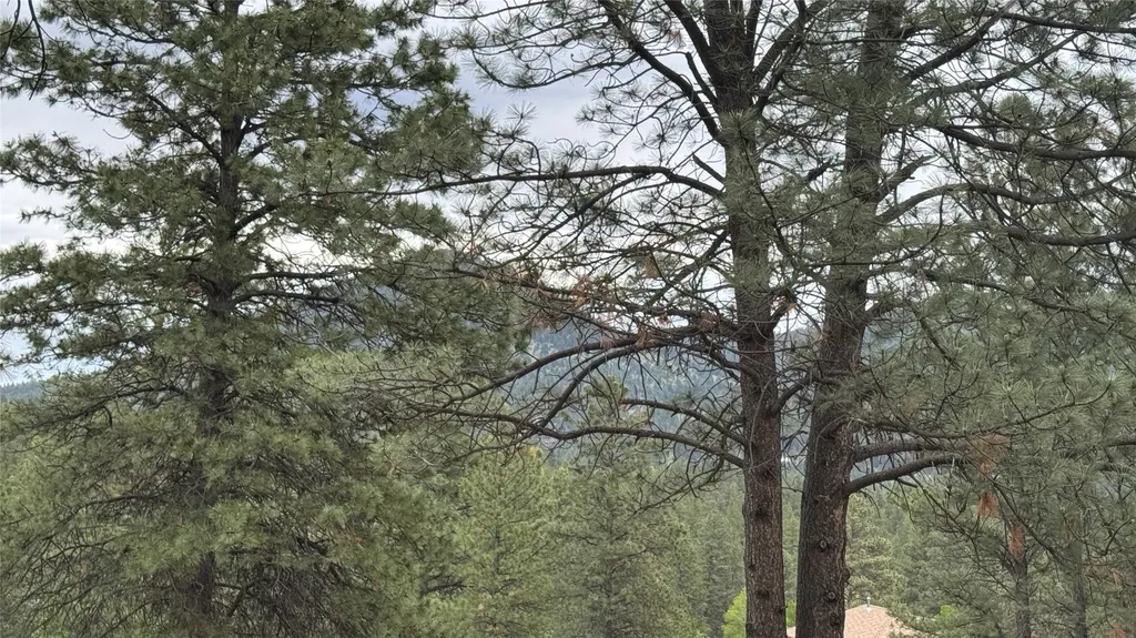 10 Pine Ridge Circle Clancy MT 59634