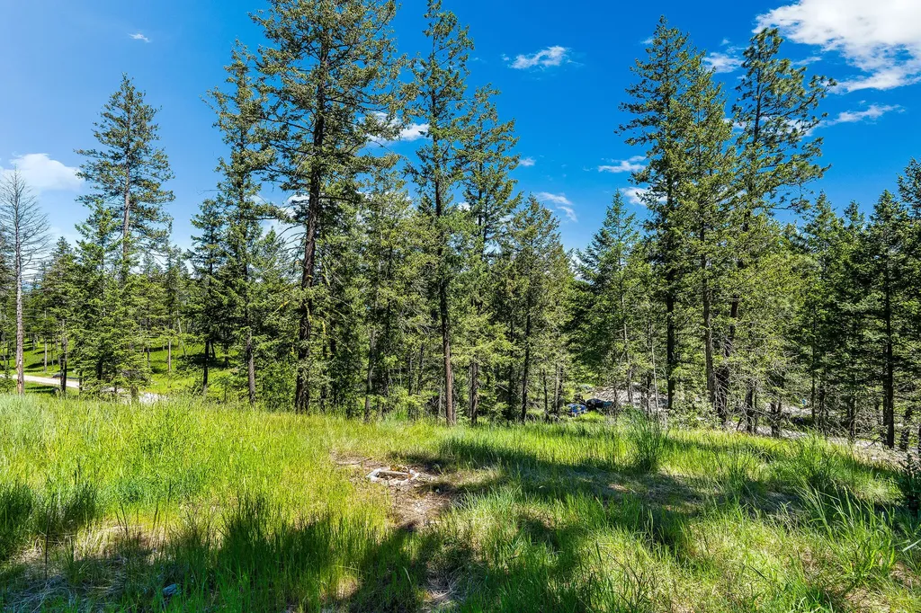 394 Windsor Court Bigfork MT 59911