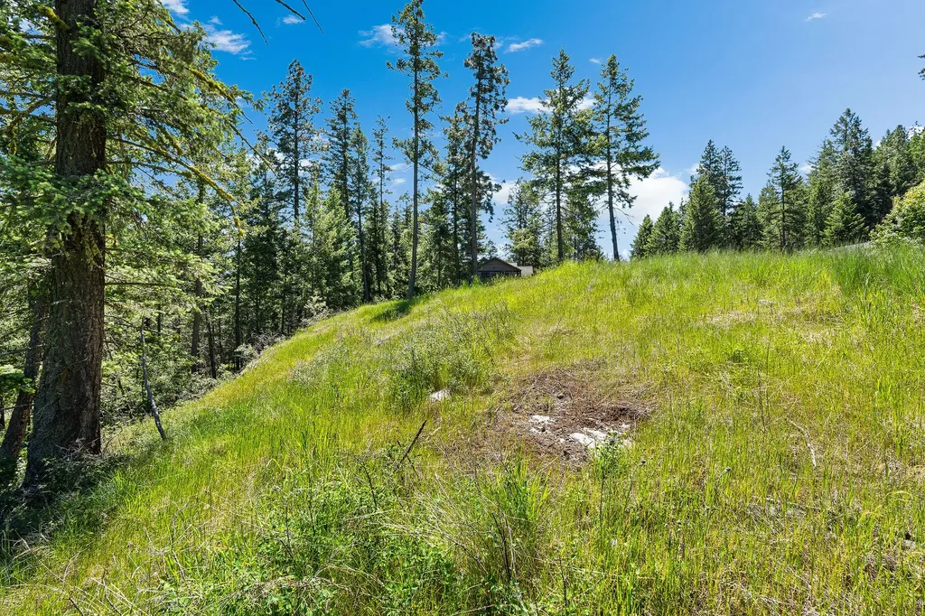 394 Windsor Court Bigfork MT 59911