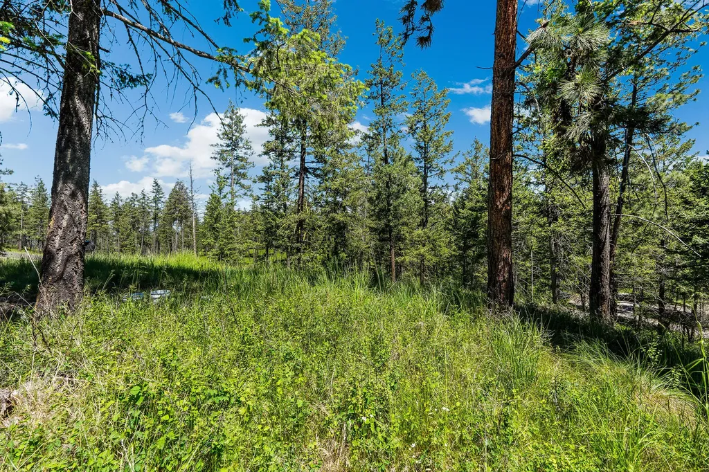 394 Windsor Court Bigfork MT 59911