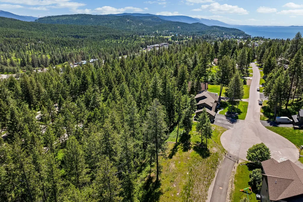 394 Windsor Court Bigfork MT 59911