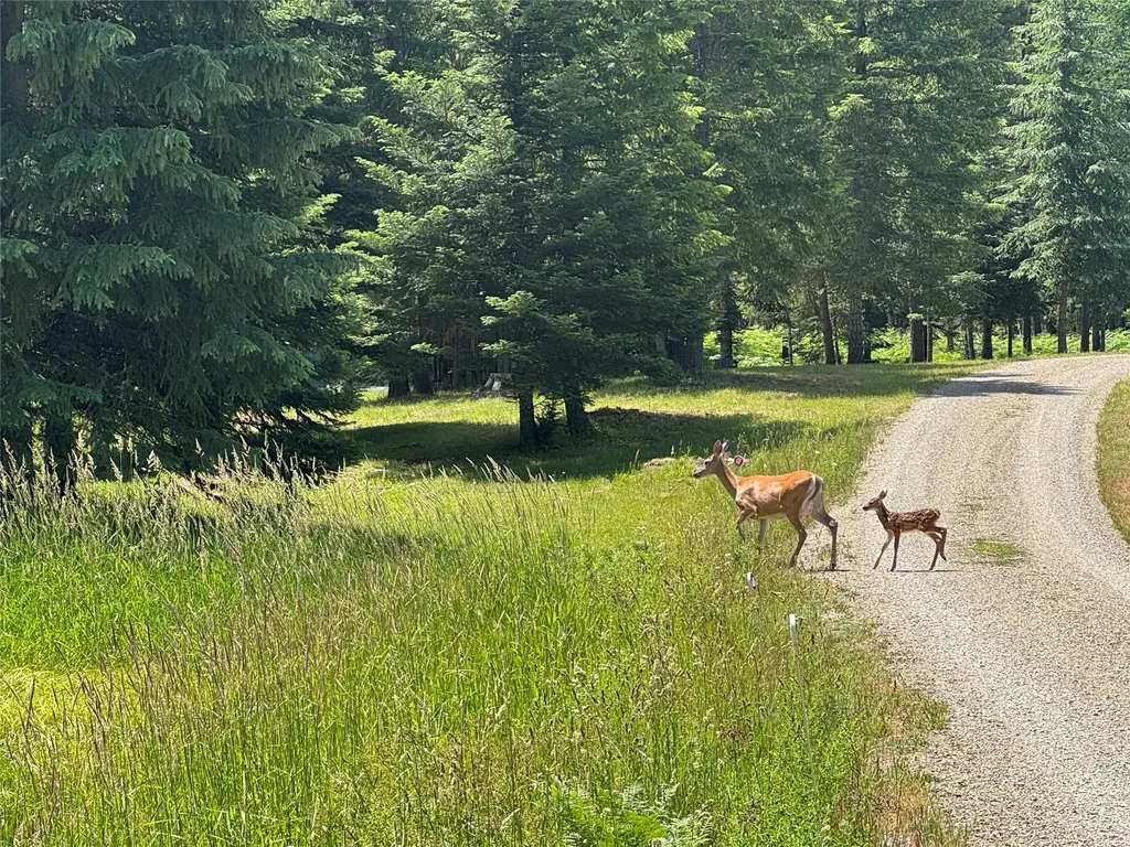 34 & 36 Childs Road Trout Creek MT 59874
