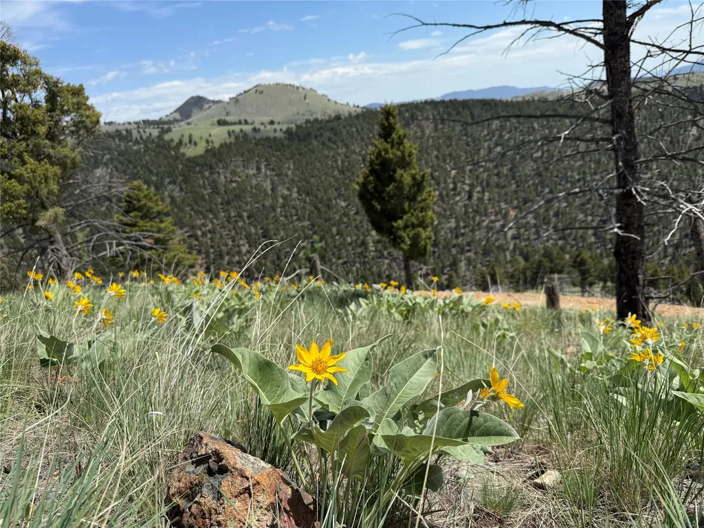 Tbd (40.1 +/- Ac) High Ore Road Boulder MT 59632