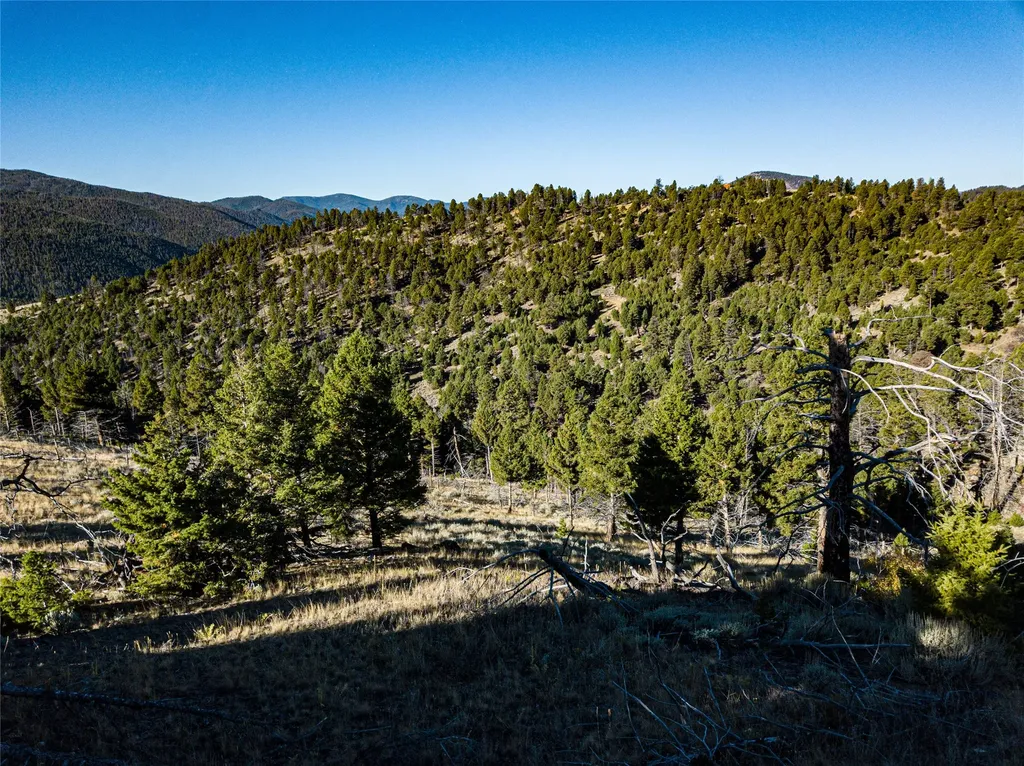 Tbd (40.1 +/- Ac) High Ore Road Boulder MT 59632