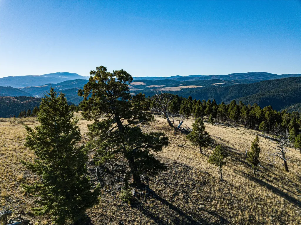 Tbd (40.1 +/- Ac) High Ore Road Boulder MT 59632